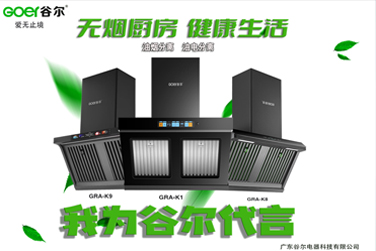 <span style='color:#009900'>为什么需要一台好烟机？</span>