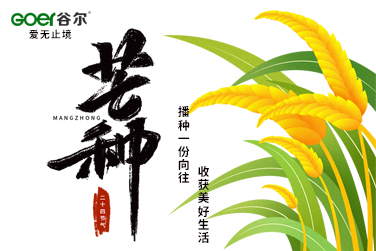 芒种—播种一份向往，收获美好生活